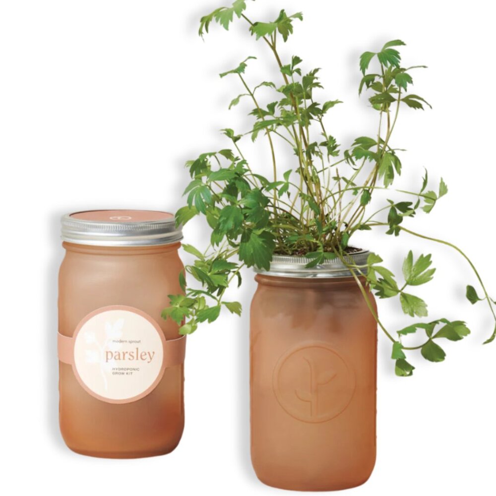 Modern Sprout - Garden Jar - Parsley